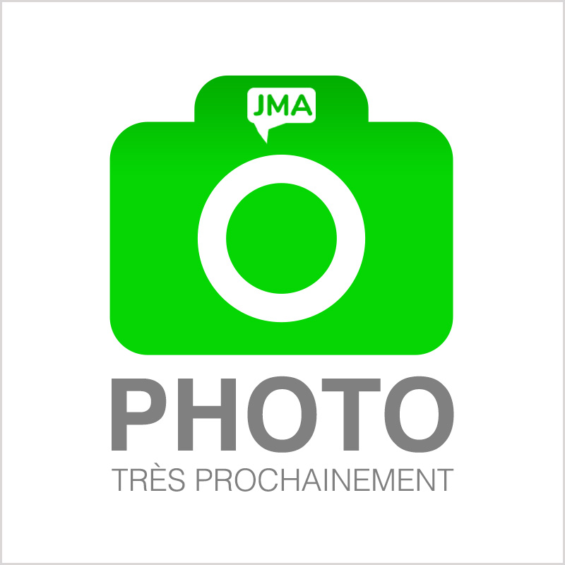 Appareil photo / caméra interne et capteur iPhone 12 Pro Max double caméra 