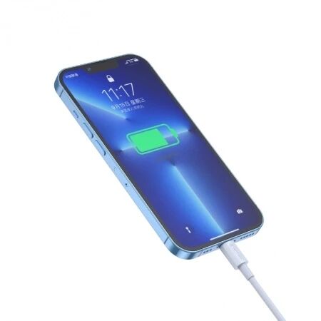 Cable Usb vers Lightning (3.1 A) 1 m&egrave;tre JELLICO B1 blanc