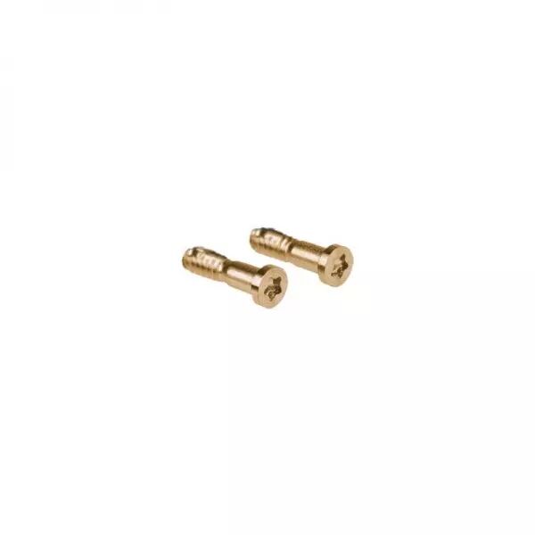 Kit de 10 vis du bas pour Iphone 11 Pro Max or