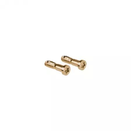 Kit de 10 vis du bas pour Iphone 11 Pro Max or
