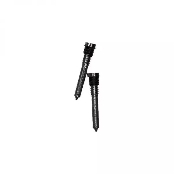 Kit de 10 vis du bas pour Iphone 12 noir