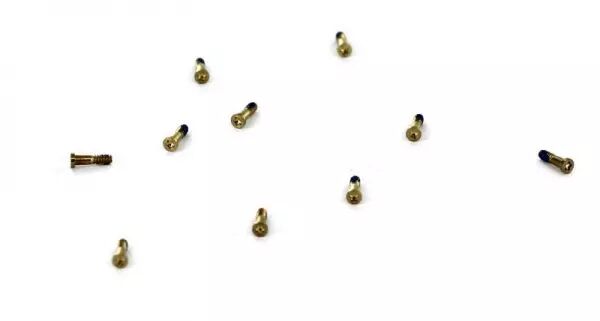 Kit de 10 vis du bas pour Iphone 6S or