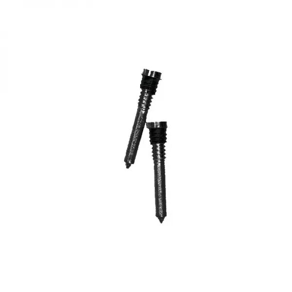 Kit de vis chassis du bas pour Iphone 12 Mini noir
