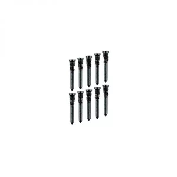 Kit de vis chassis du bas pour Iphone 12 Pro Max graphite